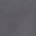 Anthracite (4010)