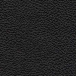 Black (4041)