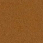 Cognac (5478)