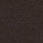 Dark Brown (0282)