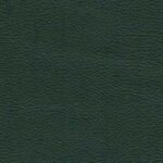 Green (5454)