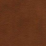 Kelato Brandy (0703)