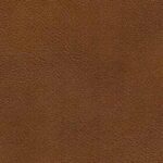 Kelato Brown (0654)