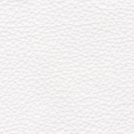 White (4101)
